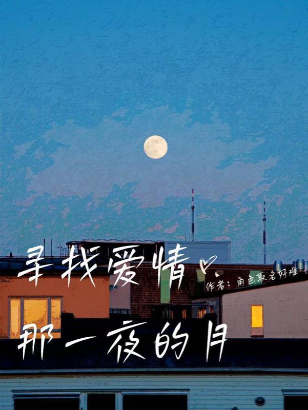 寻找爱情的方法歌词